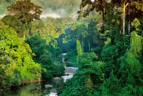 dia diem du lich trekking qua Borneo dia diem du lich trekking qua Borneo