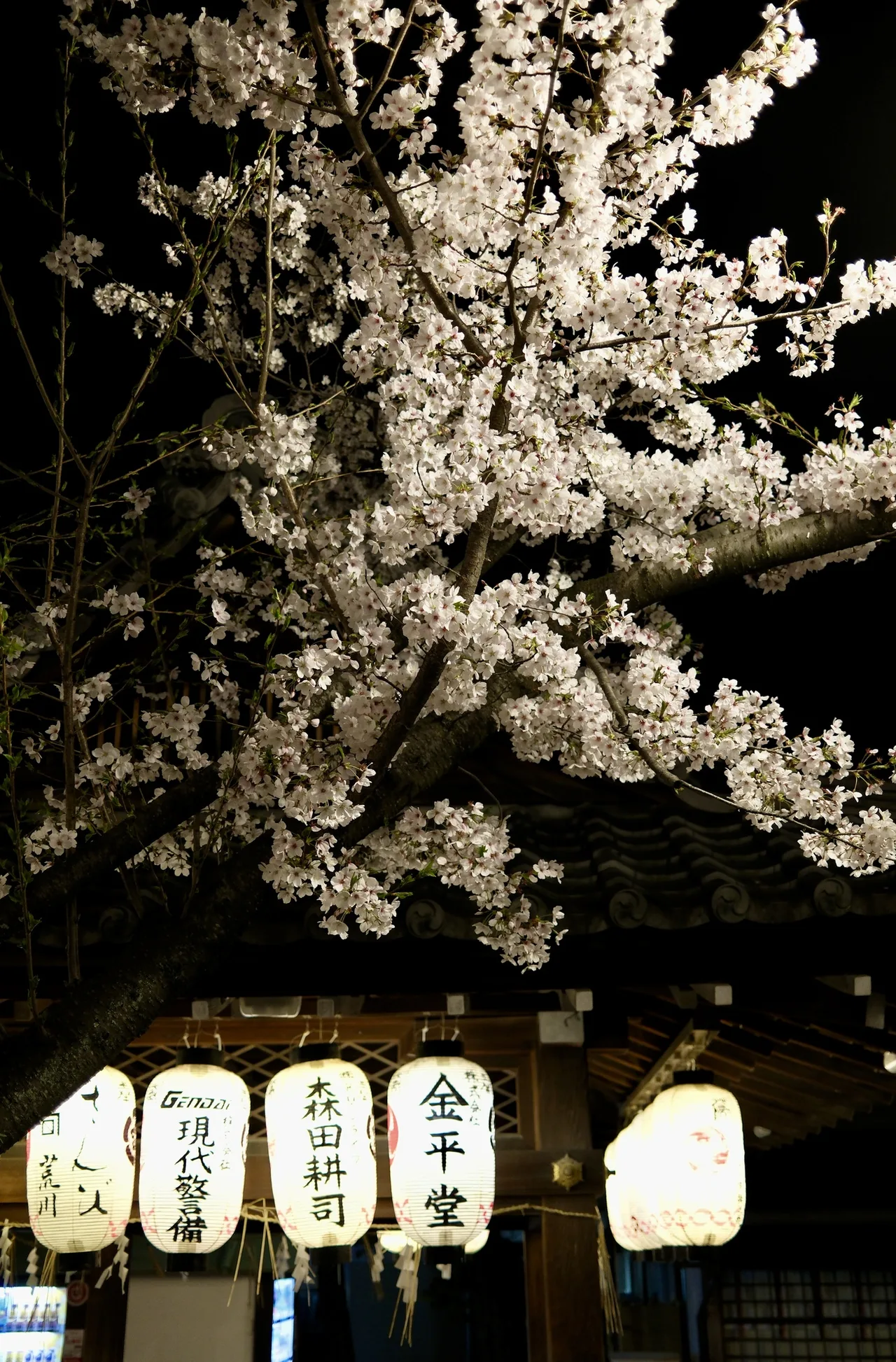 Maruyama Park