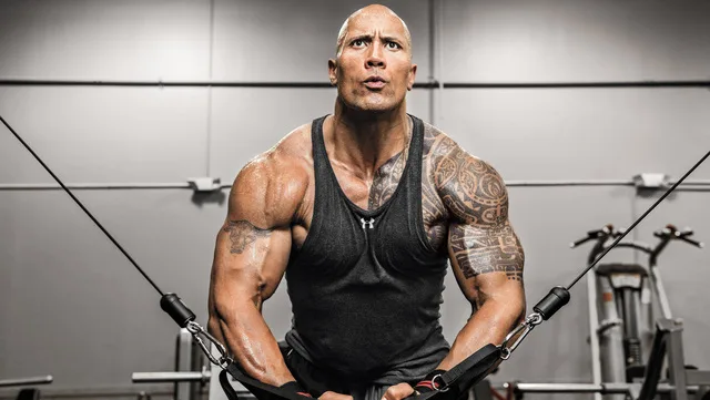 the rock - elle viet nam