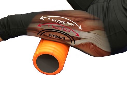 ống lăn foam roller- elle man (3)