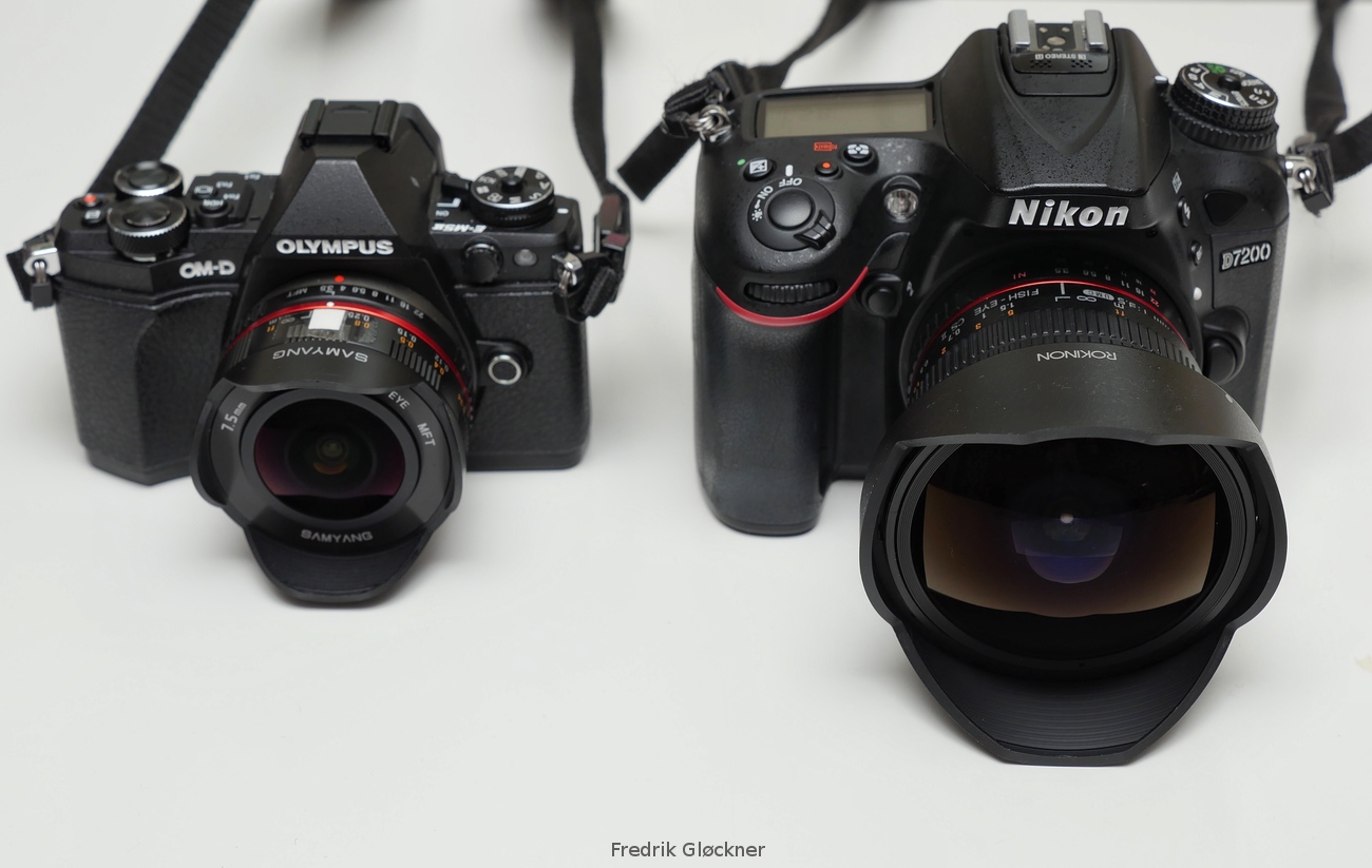 elle man may anh mirrorless 2