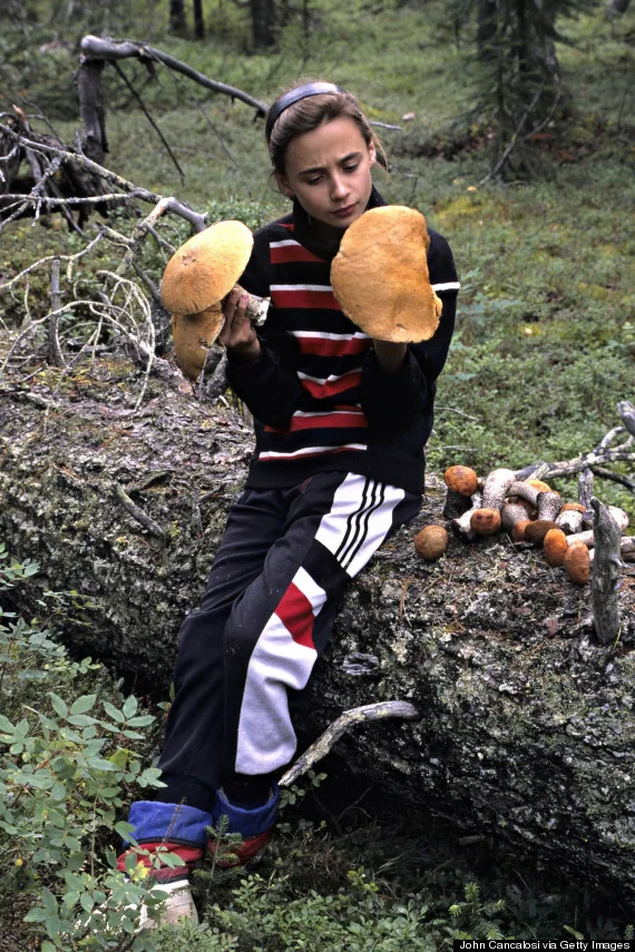 Girl holding and inspecting edible mushrooms, Bolete Leccinum aurantiacum. Taiga forest. Siberia, Russia
