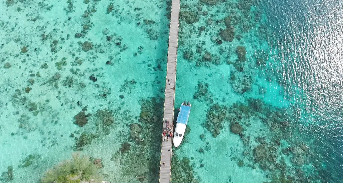 Togean _ elleman4