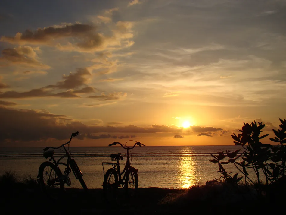 Togean _ elleman9