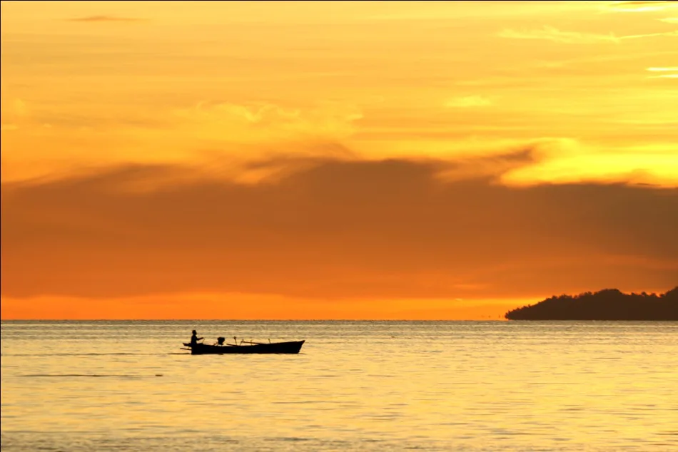 Togean _ elleman8