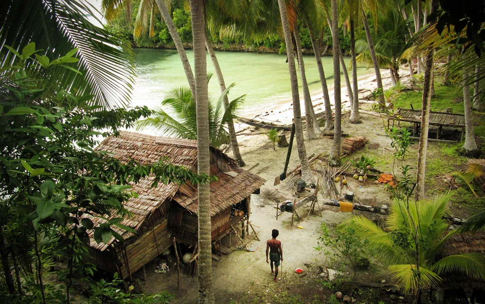 Togean _ elleman11
