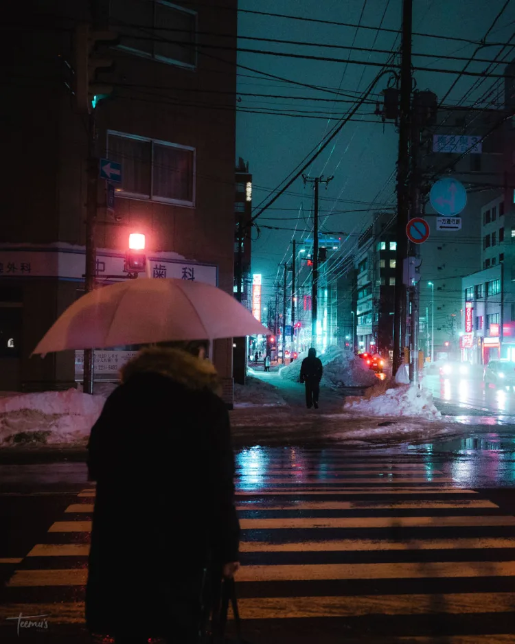 sapporo night 16-anh nhat ban-elleman-1119