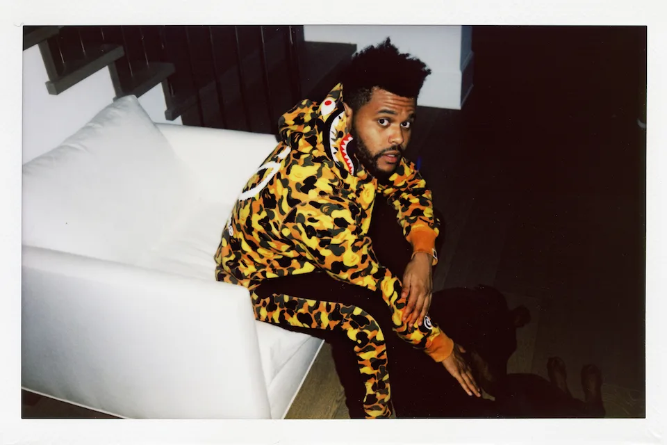 BAPE FINAL
