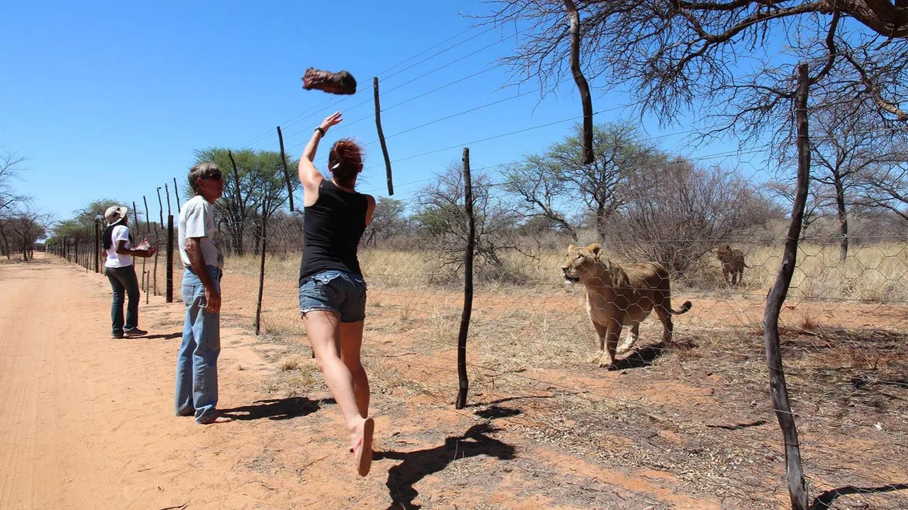 namibia - elle viet nam