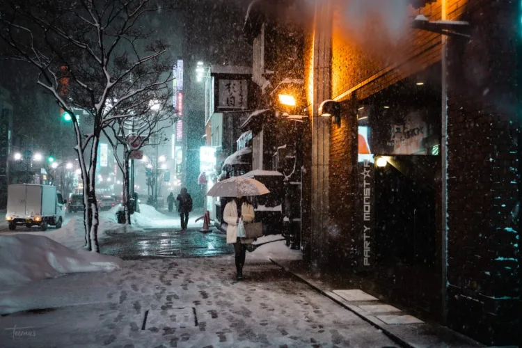 sapporo night 5-anh nhat ban-elleman-1119