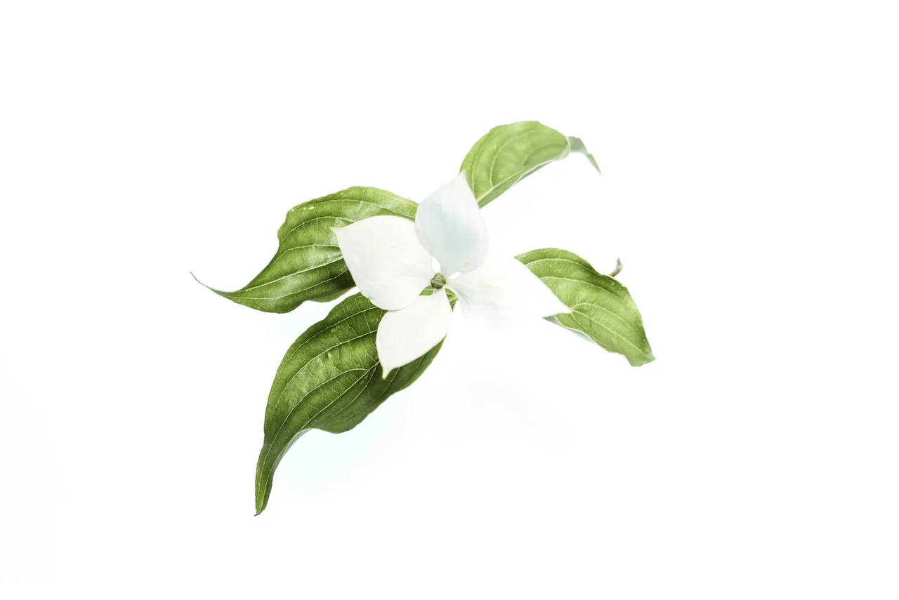 bảo vệ da
