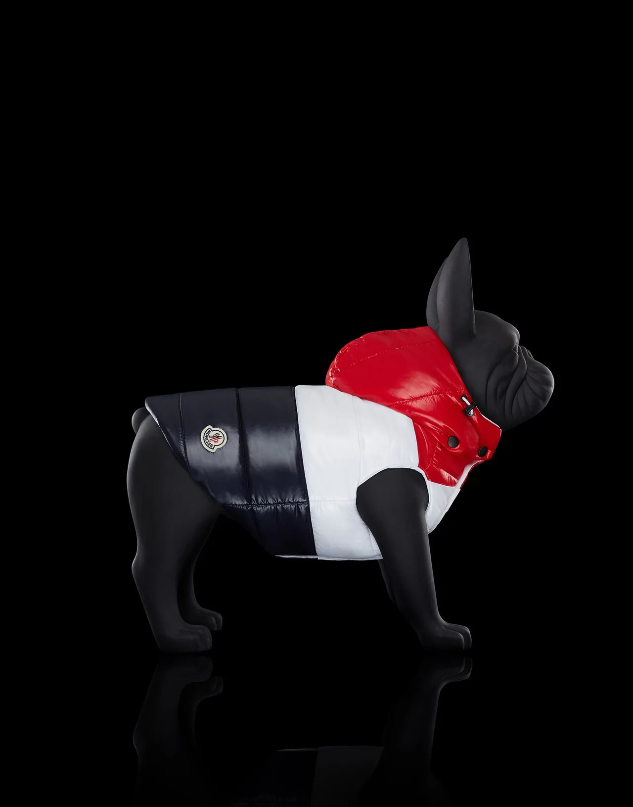 thuong hieu moncler mondog - elle man - 1