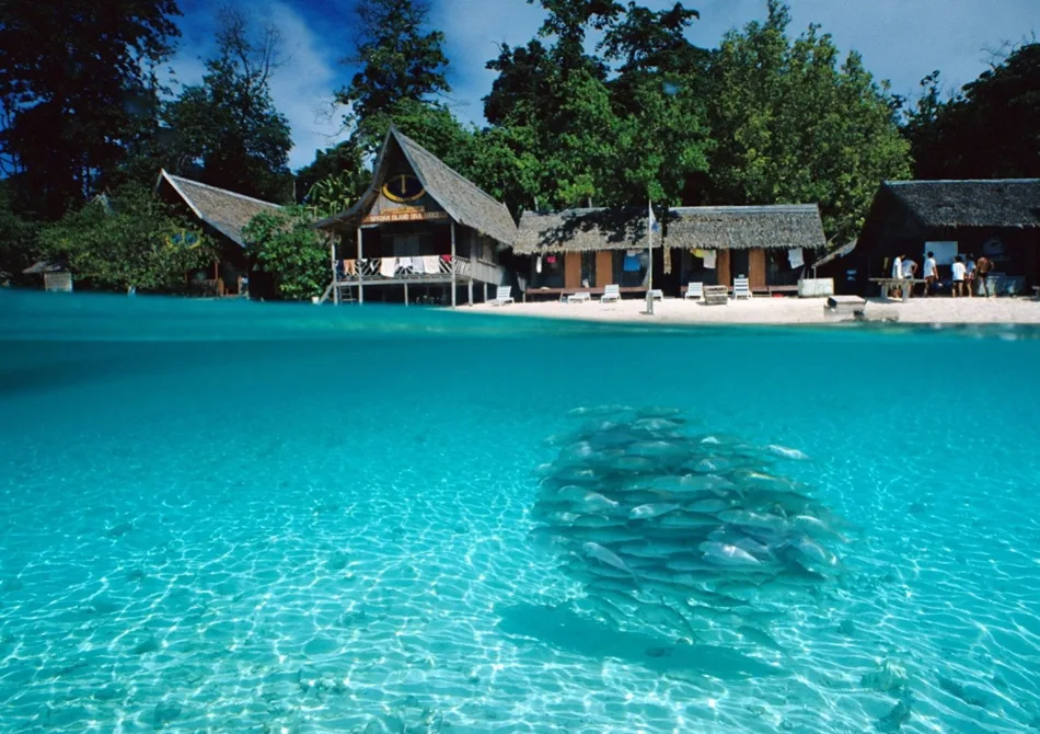 Togean _ elleman2