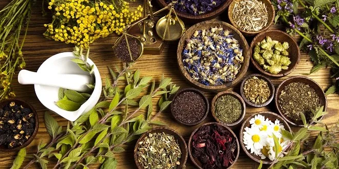 Ảnh: agrimaroc.ma