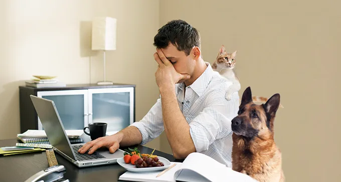 Tận dụng khoảng thời gian rảnh rỗi một cách thông minh và khoa học để tăng năng xuất công việc Ảnh minh họaTận dụng khoảng thời gian rảnh rỗi một cách thông minh và khoa học để tăng năng xuất công việc