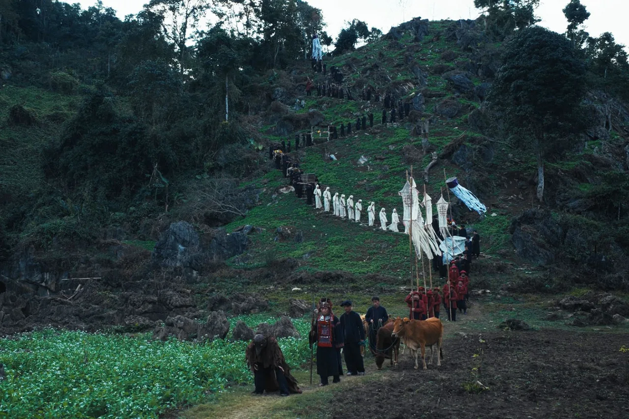 phí phông
