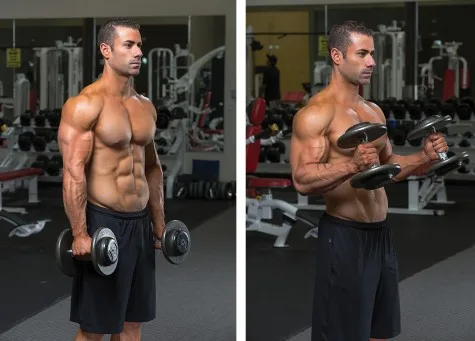 Cách tập cơ tay với Hammer Curl Cách tập cơ tay với Hammer Curl