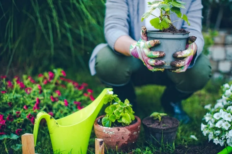 gardening-cuoc song hanh phuc-elleman-1219