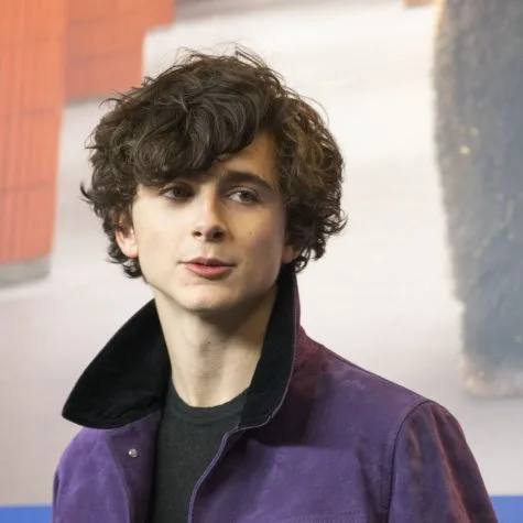 Timothee Chalamet - elle man 4