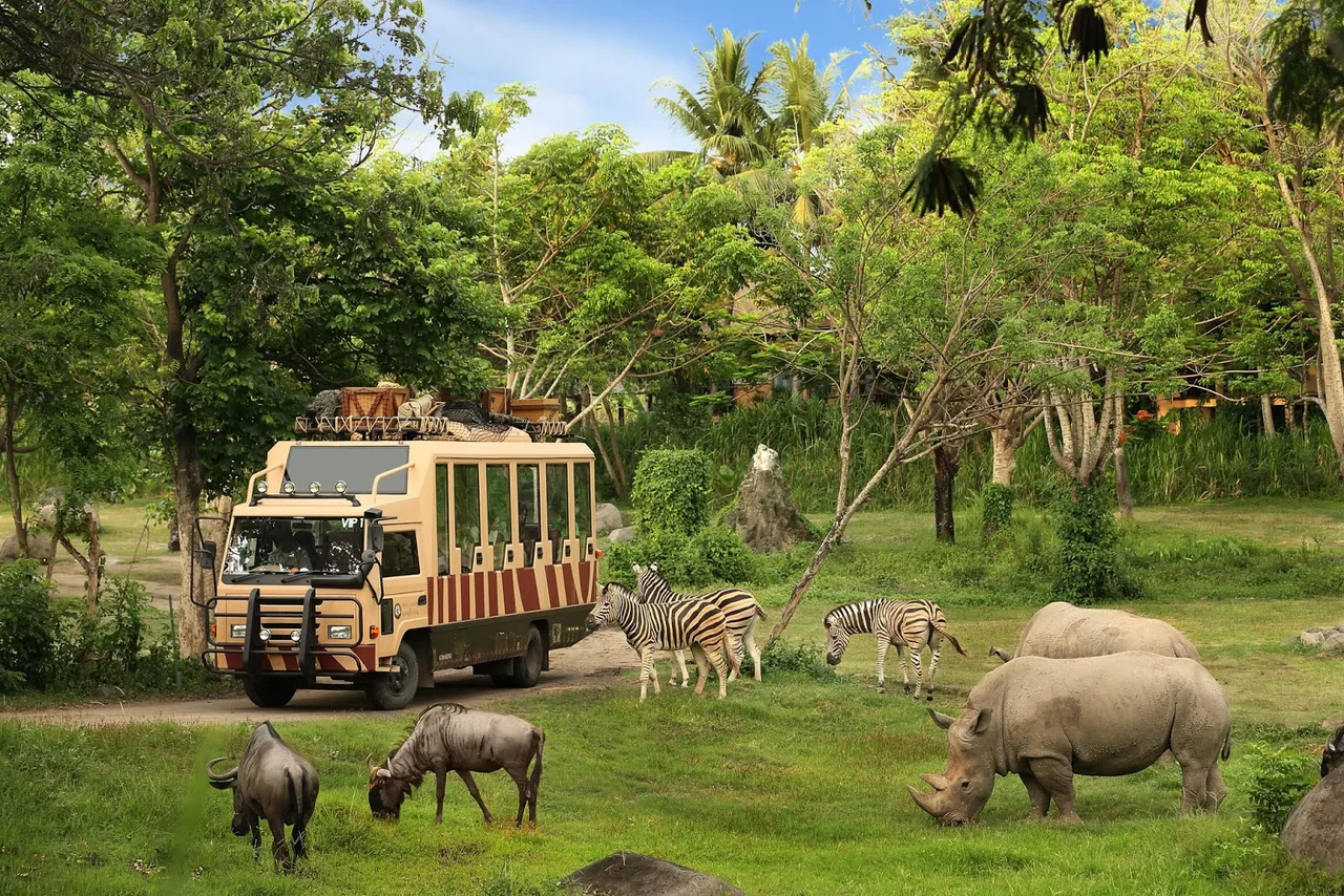 vinpearl safari-du lich tet 2020-elleman-0120
