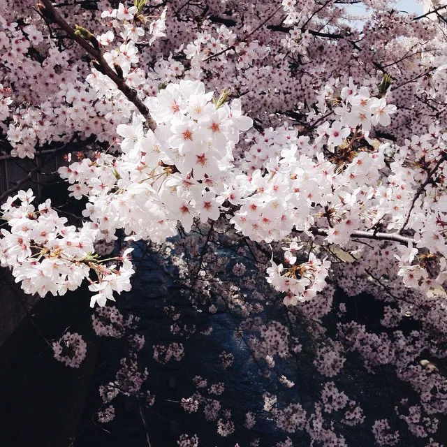 Ảnh: Instagram @sontungst
