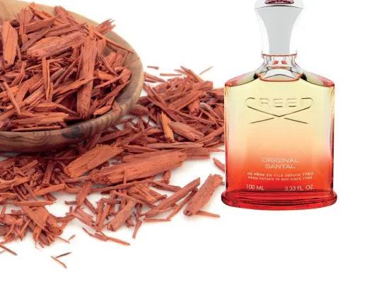 the gioi mui huong - original santal creed - elle man