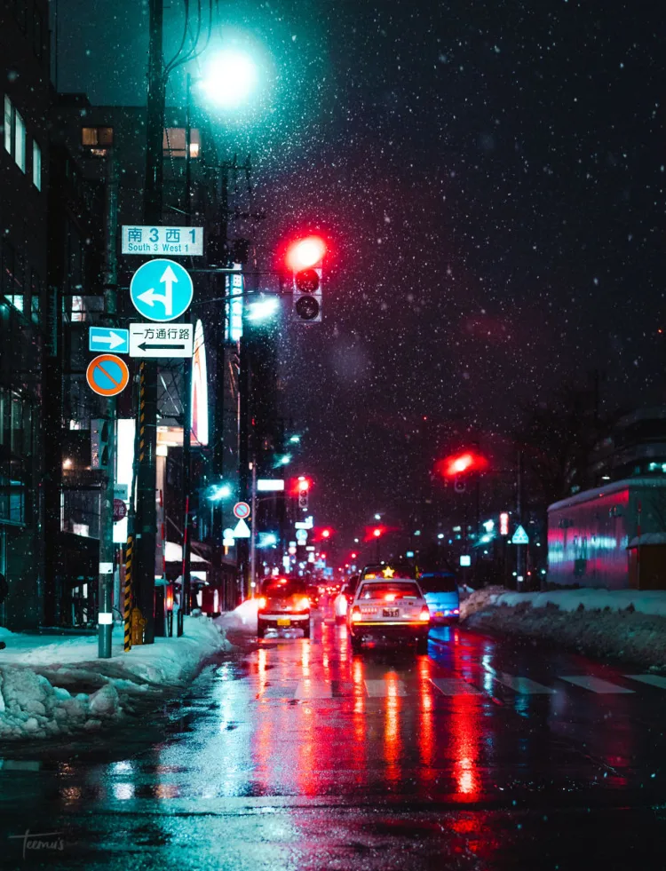 sapporo night 22-elleman-1119