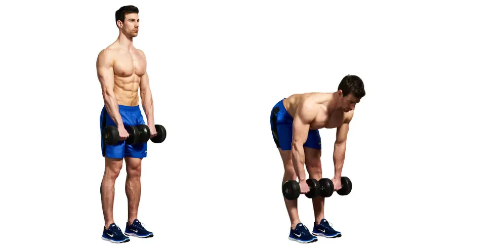 Dumbbell Romanian Deadlift