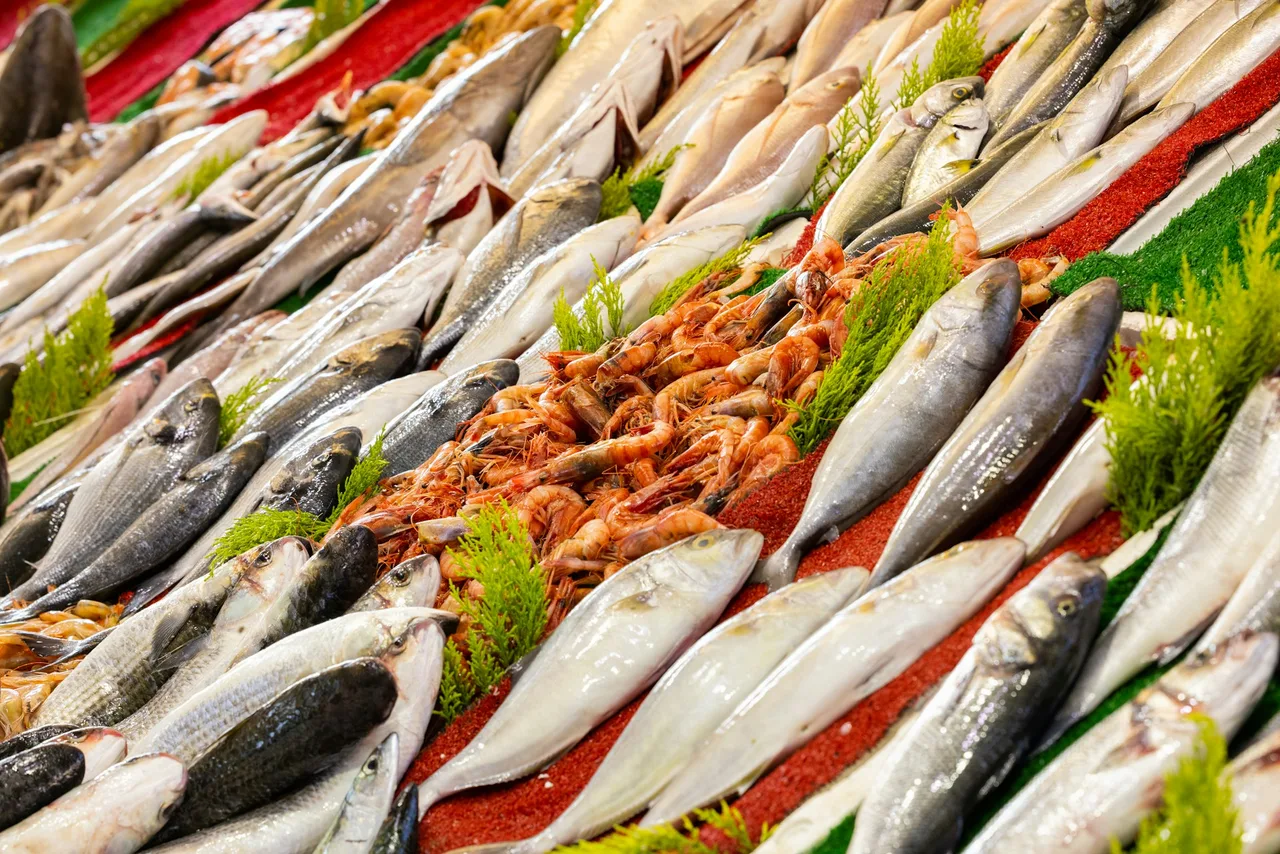 loại cá chống lão hóa cơ thể