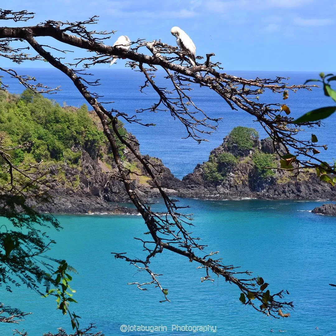 du lịch biển-biển baia do sancho