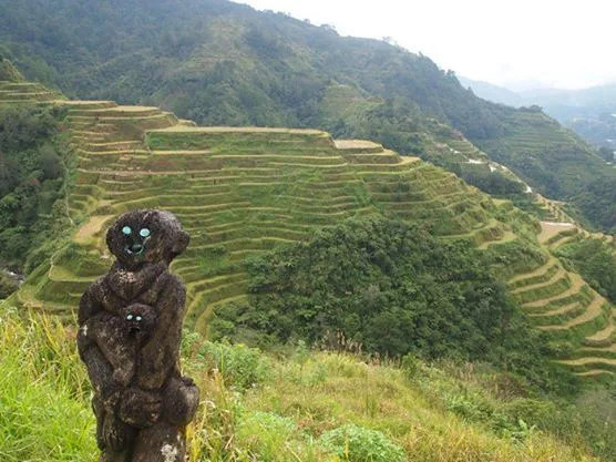 du lich gia re - elle viet nam