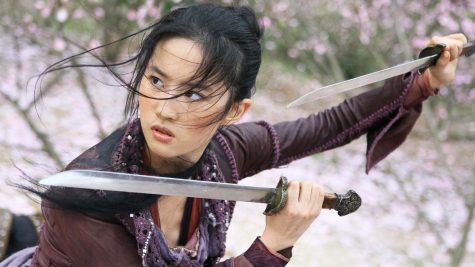 Hoa Mộc Lan - elle man 1