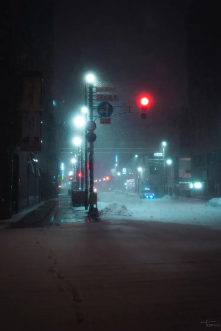sapporo night 25-elleman-1119