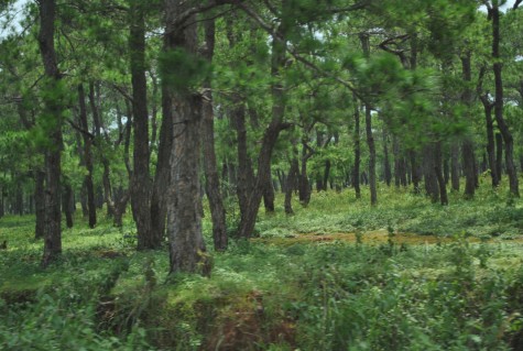 du lịch phượt hà giang du lịch phượt hà giang