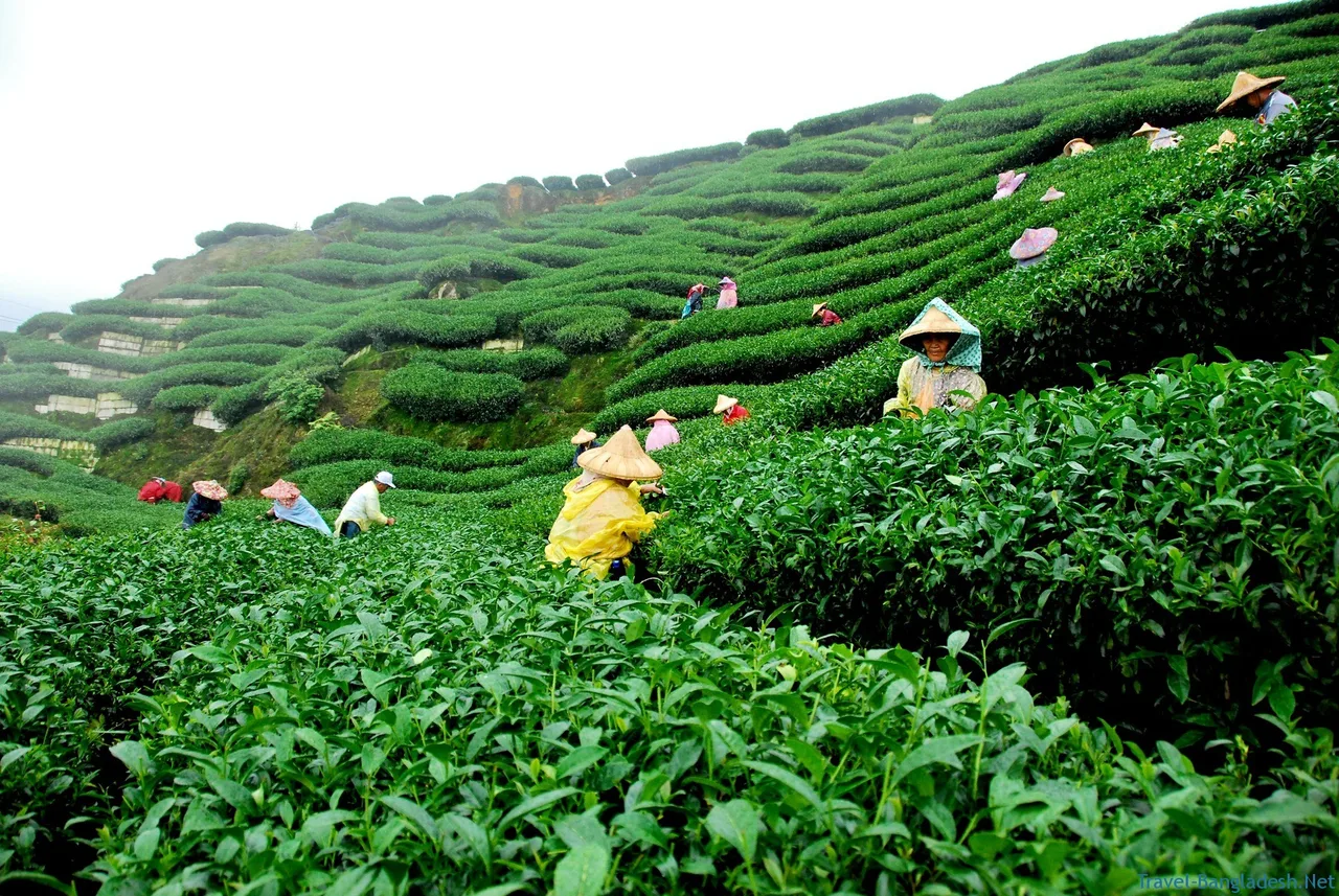 du lich nuoc ngoai - elle viet nam