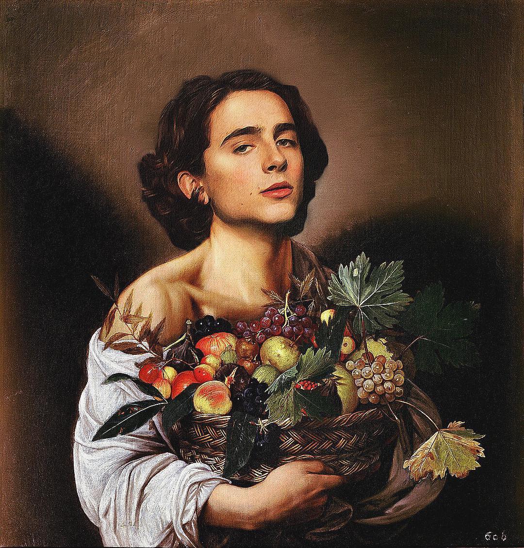 timothée chalamet - elle man1