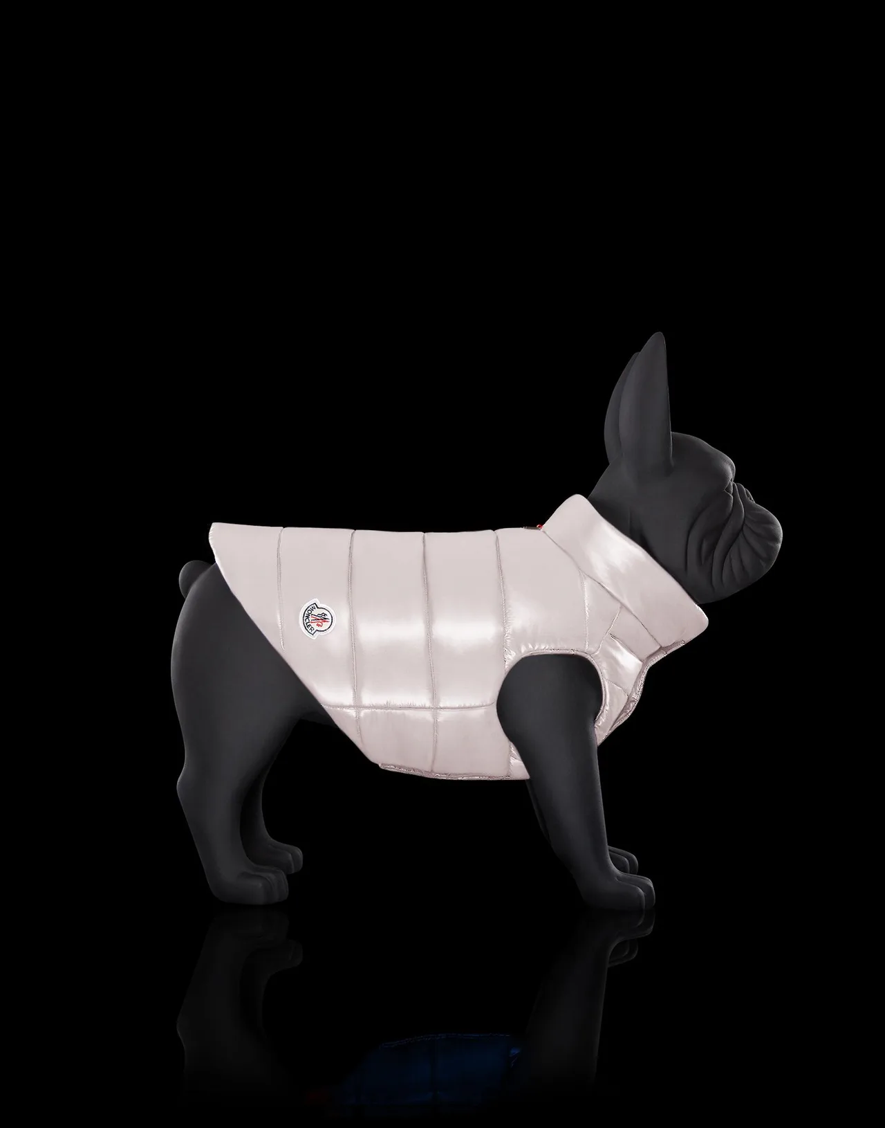 thuong hieu moncler mondog - elle man - 3