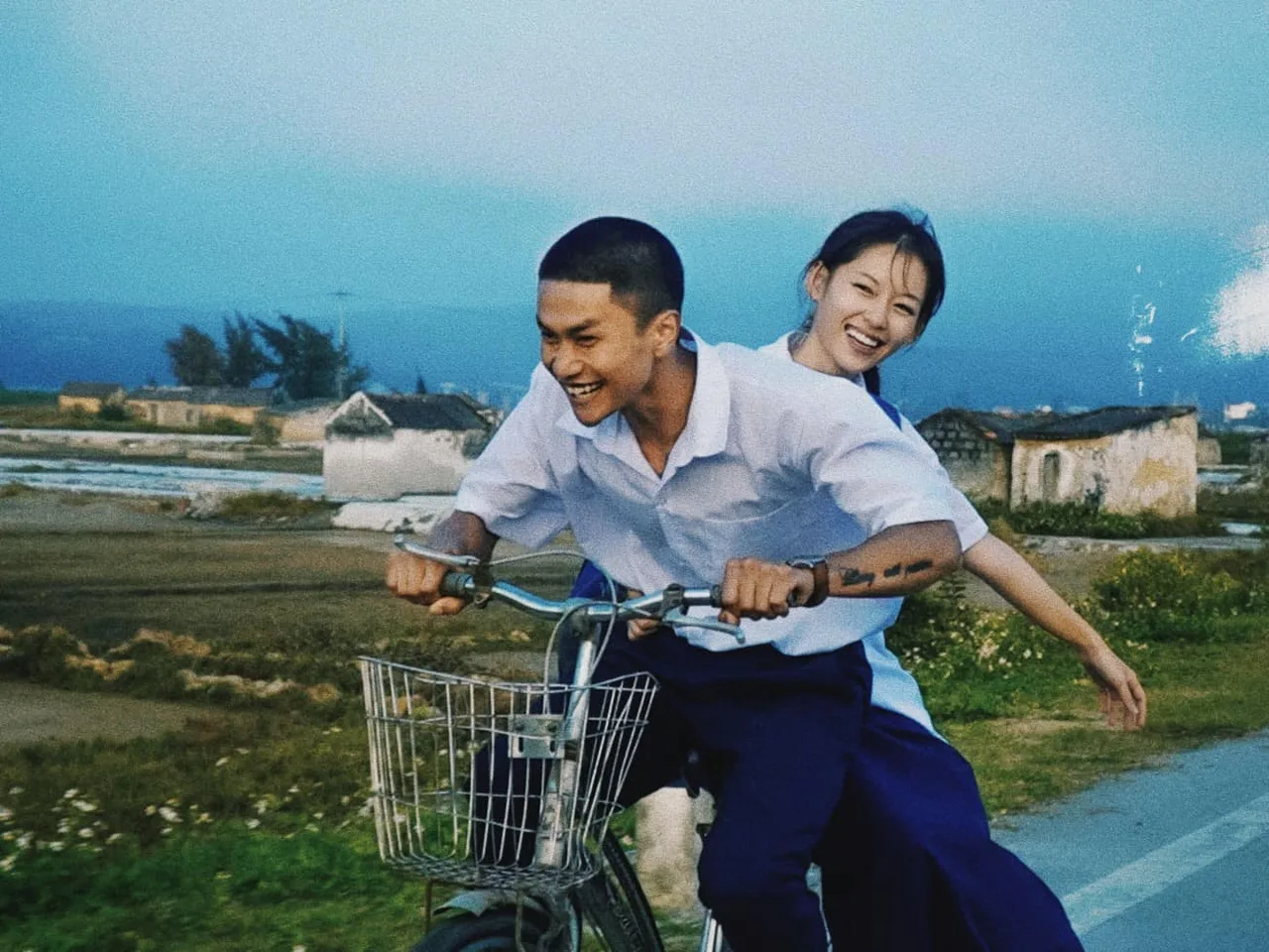 đàn cá gỗ