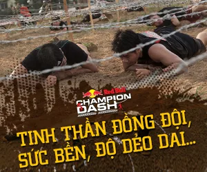 ChampionDash_M&O_BannerW3_300x250_F1_150903