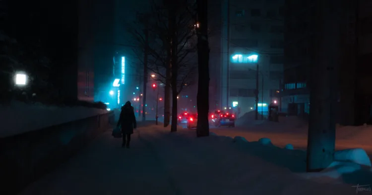 sapporo night 20-anh nhat ban-elleman-1119