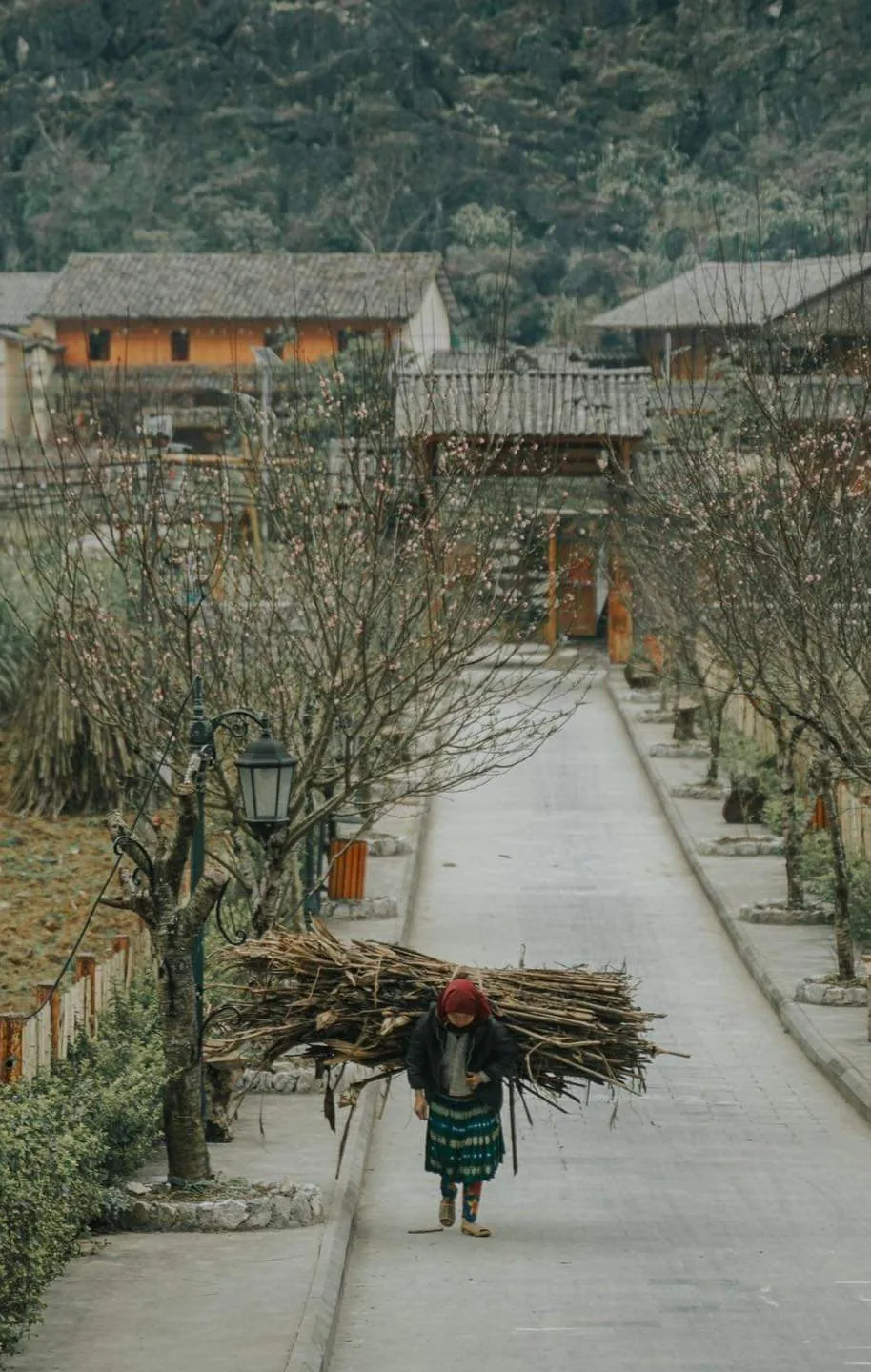 hà giang