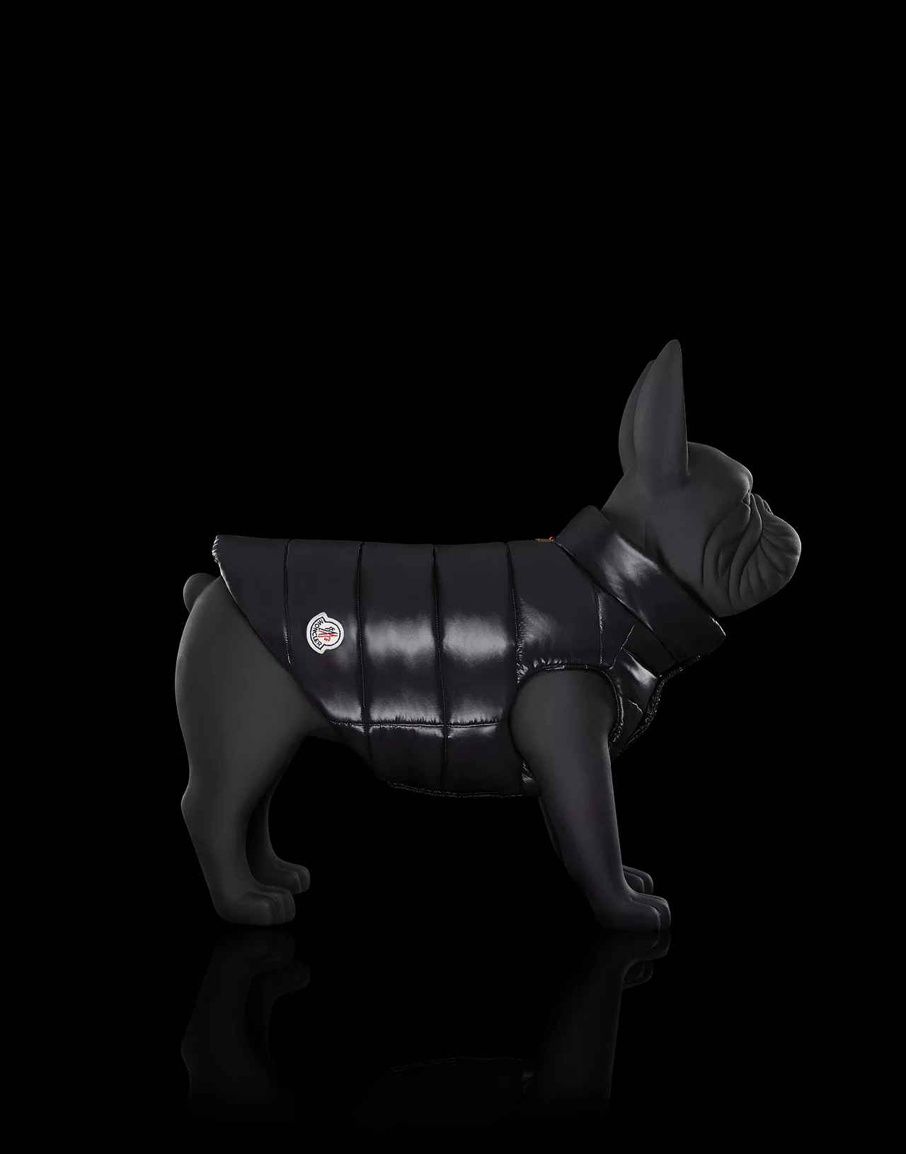 thuong hieu moncler mondog - elle man - 4