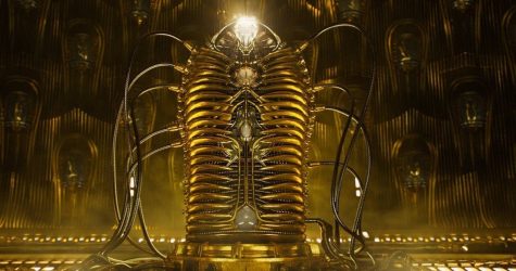 avengers infinity war dai chien vo cuc - adam warlock - elle man 1