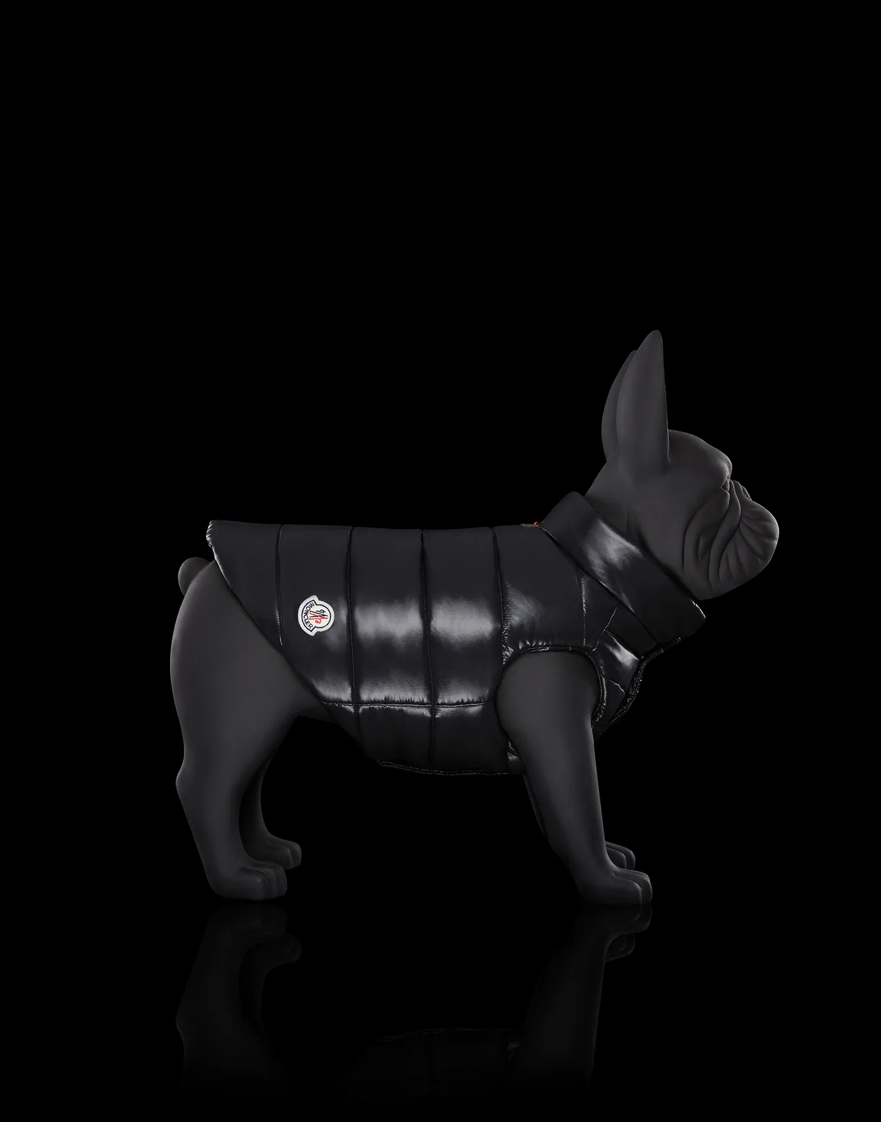 thuong hieu moncler mondog - elle man - 4