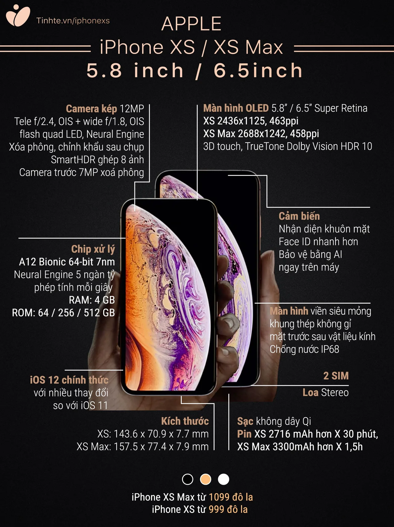So sánh iPhone XS và XS Max. Ảnh: Tinh Tế