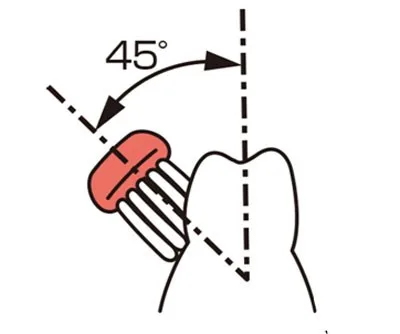 Bàn chải và răng tạo thành một góc 45 độ