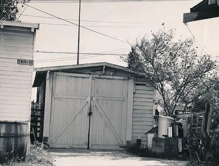 Câu chuyện kinh doanh: Walt Disney.