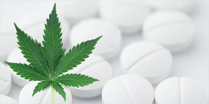xu hướng thời trang cannabis