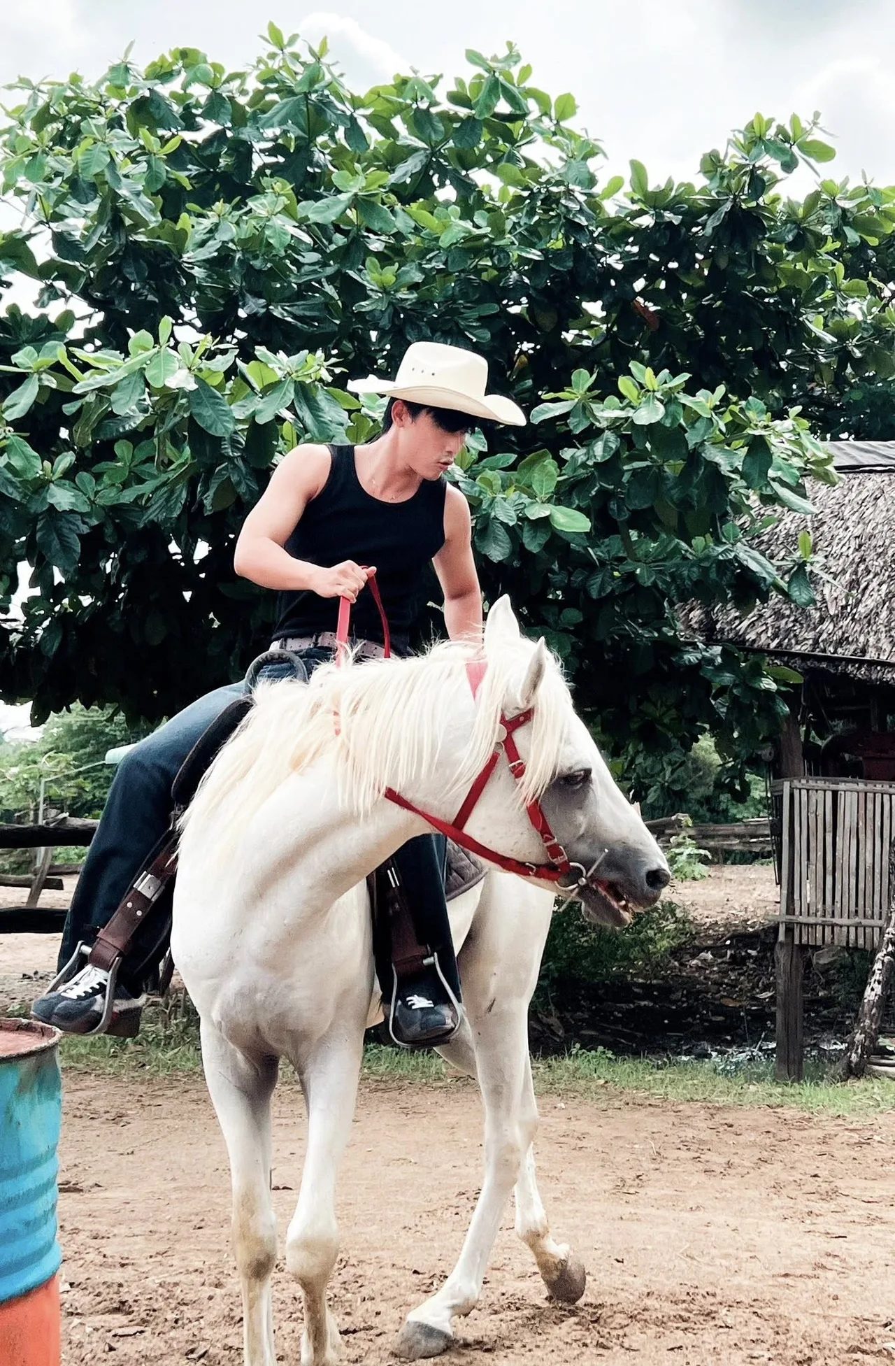 võ điền gia huy