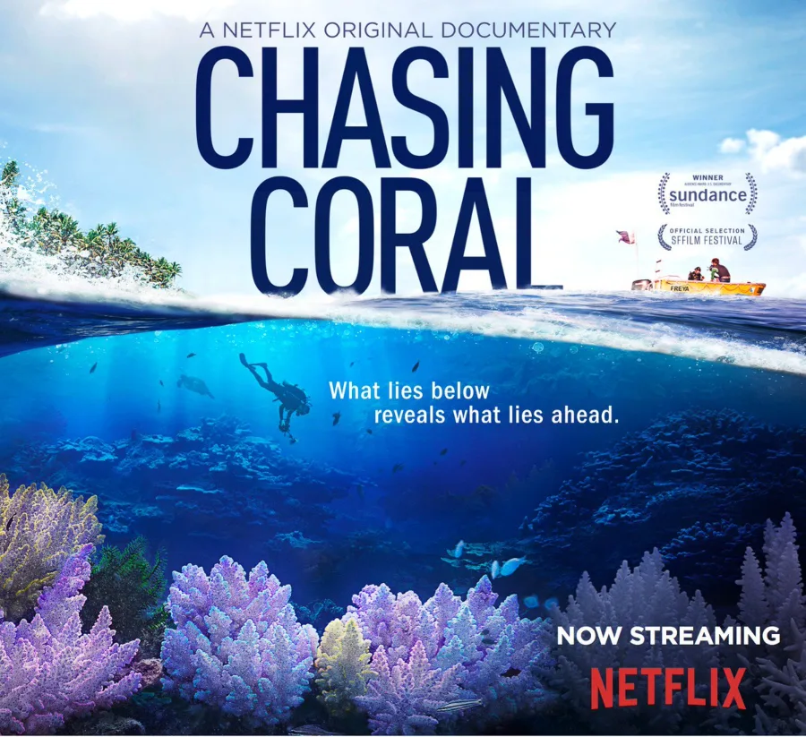Chasing coral du lịch